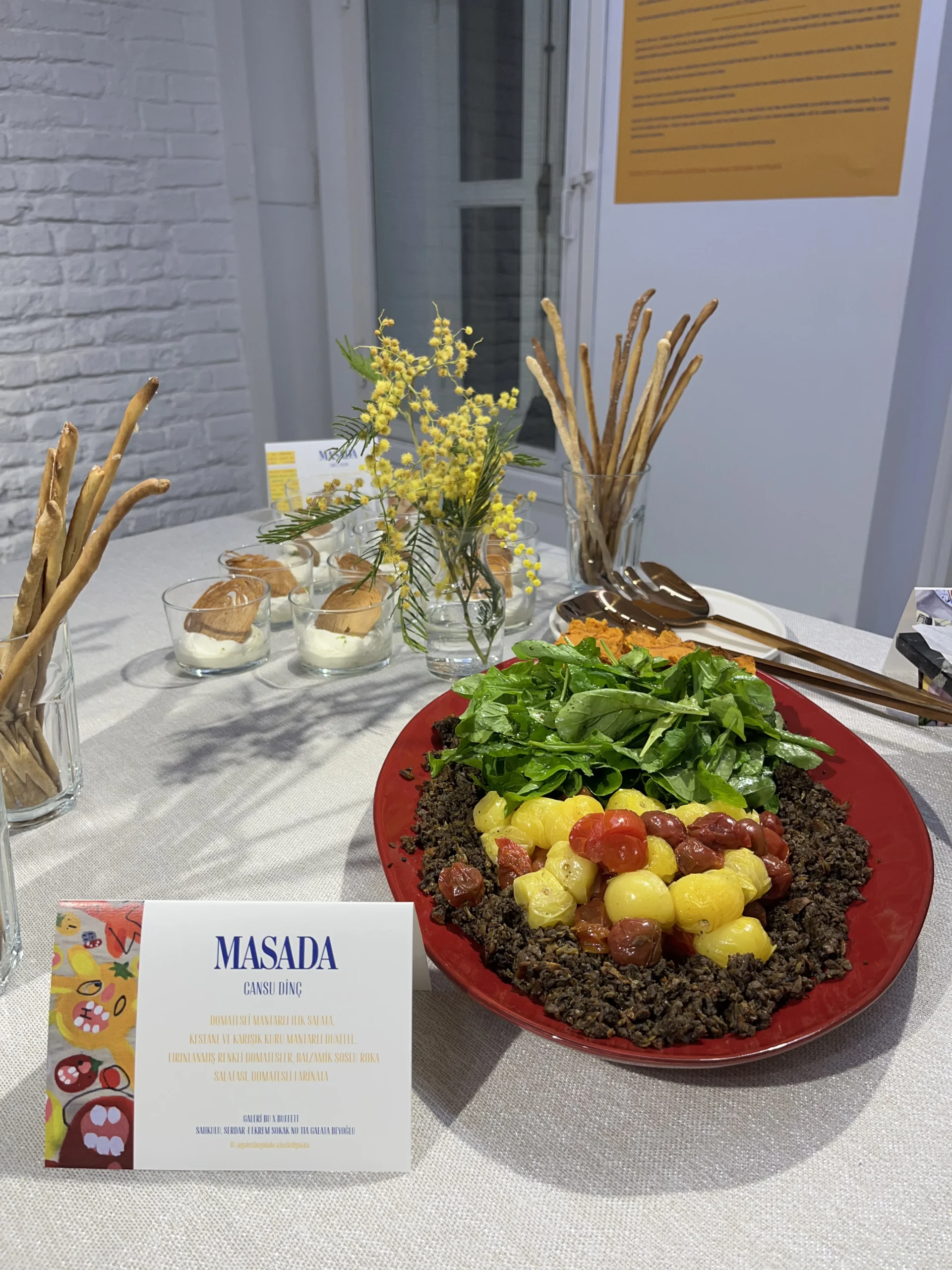 cansu-dinc-exhibitions-masada-18